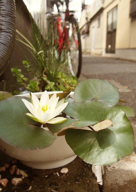 Love Kyoto Kyoenkan Habitación foto